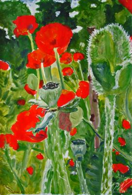 Mohnfeld - Margarete Paulmann-Nisters - Array auf Array - Array - Array Mohnfeld - Margarete Paulmann-Nisters - Array auf Array - Array - Array