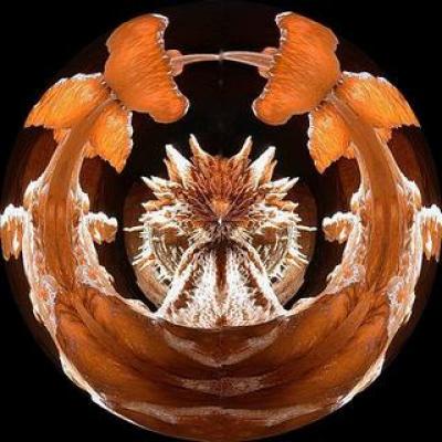 love -  newhouseofart -  auf  - Array - 