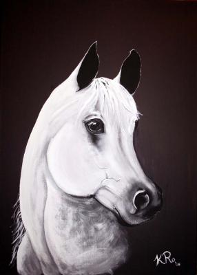 Arton - Pferd - Araberhengst - Karin Isabella Karo - Array auf Array - Array - Arton - Pferd - Araberhengst - Karin Isabella Karo - Array auf Array - Array -