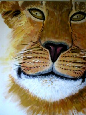 Junger Löwe - Gitta Gitta Seebauer - Array auf Array - Array - Junger Löwe - Gitta Gitta Seebauer - Array auf Array - Array -