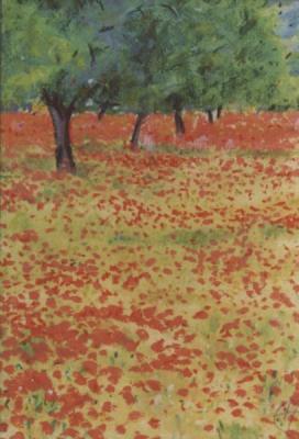 Mohnfeld auf Mallorca - hf - Array auf Array - Array - Mohnfeld auf Mallorca - hf - Array auf Array - Array -