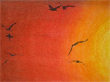 Abendsonne - Anna - Array auf - Array - Abendsonne - Anna - Array auf - Array -