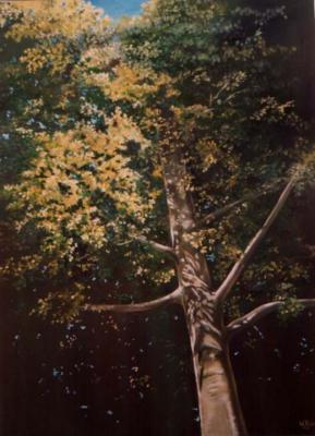 Die Buche -Wolfgang Rose- - Wolfgang Rose - Array auf Array - Array - Die Buche -Wolfgang Rose- - Wolfgang Rose - Array auf Array - Array -