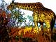 Giraffe - Timm-H. Wemper - auf - Sonstiges - Giraffe - Timm-H. Wemper - auf - Sonstiges -