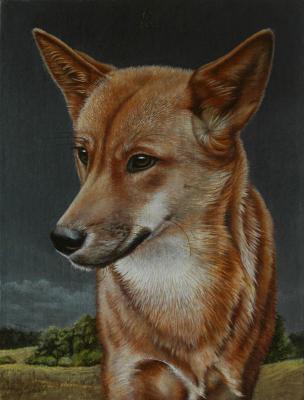 Yani, die Dingohündin (2008) - Christine Becker - Array auf - Array - Yani, die Dingohündin (2008) - Christine Becker - Array auf - Array -