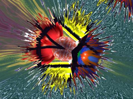 Shuttle 2003 - Hendrik Arie Baartman - Baartman - auf - Array - Shuttle 2003 - Hendrik Arie Baartman - Baartman - auf - Array -