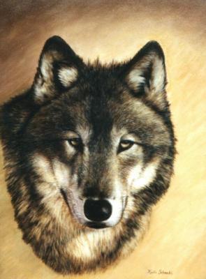 AMAROQ - Karin Schnabl - Karin Schnabl - Array auf Array - Array - 