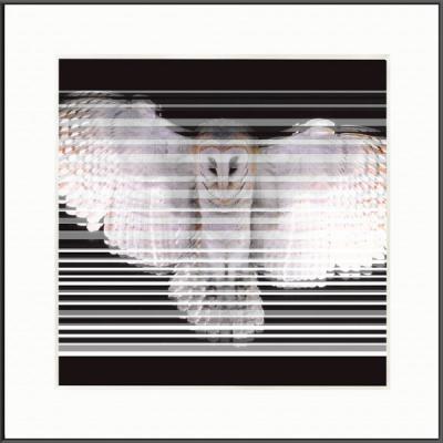 Eule (2002) Armin Mumper - Armin Noris - Array auf - Array - Eule (2002) Armin Mumper - Armin Noris - Array auf - Array -