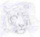 Tiger (2003) -Steffen Strobel- - Steffen Strobel - Bleistift auf - Sonstiges-Raubkatzen - Tiger (2003) -Steffen Strobel- - Steffen Strobel - Bleistift auf - Sonstiges-Raubkatzen -