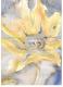 Blume in Fantasie (2003) -Steffen Strobel- - Steffen Strobel - Aquarell auf Papier - Sonstiges-Blumen - Blume in Fantasie (2003) -Steffen Strobel- - Steffen Strobel - Aquarell auf Papier - Sonstiges-Blumen -