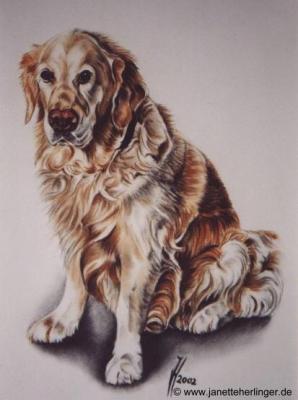 Golden Retriever (2002) Janette Herlinger - Janette Herlinger - Array auf - Array - Golden Retriever (2002) Janette Herlinger - Janette Herlinger - Array auf - Array -