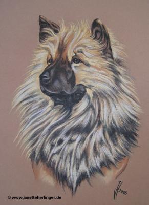 Eurasierin Arissa (2003) Janette Herlinger - Janette Herlinger - Array auf - Array - Eurasierin Arissa (2003) Janette Herlinger - Janette Herlinger - Array auf - Array -