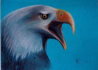 Mona Rohlffs Nr.8 - Mona Rohlffs - auf - Array - Mona Rohlffs Nr.8 - Mona Rohlffs - auf - Array -