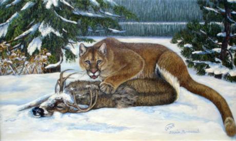 Puma mit Weisswedelhirsch (2007) - Karin Broszeit-Borchert - Array auf Array - Array - Puma mit Weisswedelhirsch (2007) - Karin Broszeit-Borchert - Array auf Array - Array -