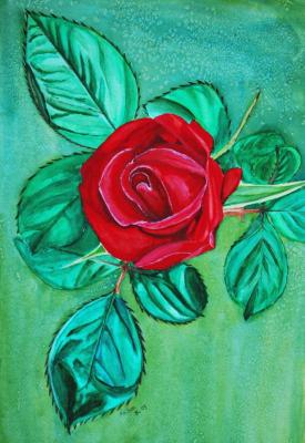 Rose (April 2009) -  MaRhon - Array auf Array - Array - 