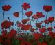 Mohn - Knut Stein - Acryl auf Leinwand - Mohn - Impressionismus Mohn - Knut Stein - Acryl auf Leinwand - Mohn - Impressionismus