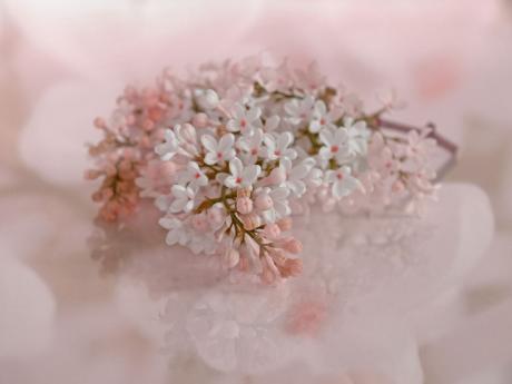 Fliederträume - Annett Tropschug - Array auf - Array - Fliederträume - Annett Tropschug - Array auf - Array -