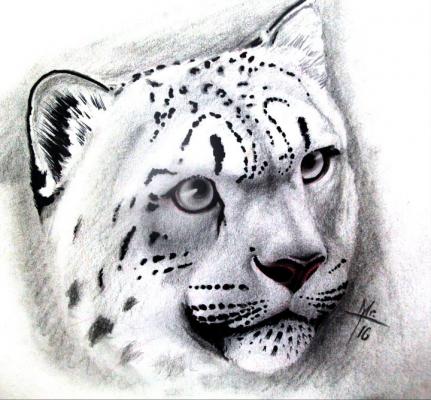 cheeta - Torsten Matthes - Array auf Array - Array - Array cheeta - Torsten Matthes - Array auf Array - Array - Array