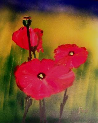 3x Mohn - Klaus Scholl - Array auf Array - Array - 3x Mohn - Klaus Scholl - Array auf Array - Array -