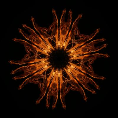 Feuerblume 2008082206 - Niels Vaillant - Array auf  - Array - 