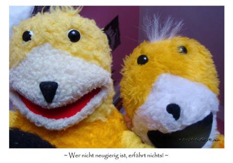 Neues Kunstwerk - Katja Augenblick - auf - - Neues Kunstwerk - Katja Augenblick - auf - -