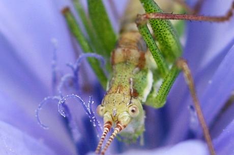 Neues Kunstwerk - Ulrike Kirschner - Array auf - Array - Neues Kunstwerk - Ulrike Kirschner - Array auf - Array -