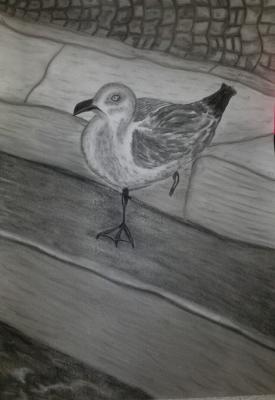 Einbeinige Möwe - Anita Novacek - Array auf - Array - Einbeinige Möwe - Anita Novacek - Array auf - Array -