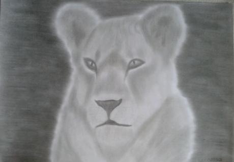 Löwin - Anita Novacek - Array auf - Array - Löwin - Anita Novacek - Array auf - Array -