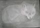 Schlafender Fuchs - Anita Novacek - Bleistift auf - Mystik-Wildtiere - Schlafender Fuchs - Anita Novacek - Bleistift auf - Mystik-Wildtiere -