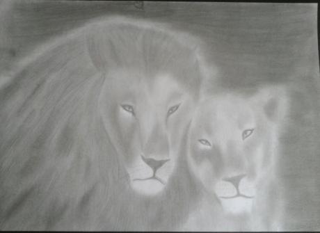 Löwenpärchen - Anita Novacek - Array auf - Array - Löwenpärchen - Anita Novacek - Array auf - Array -