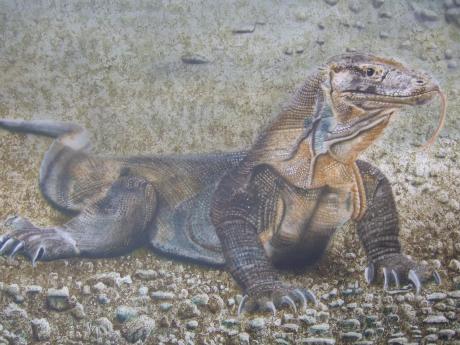 Komodowaran - Ludwig Kestermann - Array auf - Array - Array Komodowaran - Ludwig Kestermann - Array auf - Array - Array