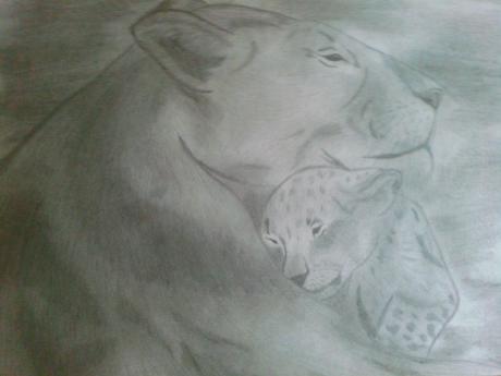 Liebevolle Löwenmama umsorgt IOhr Kind - Anita Novacek - Array auf - Array - Liebevolle Löwenmama umsorgt IOhr Kind - Anita Novacek - Array auf - Array -