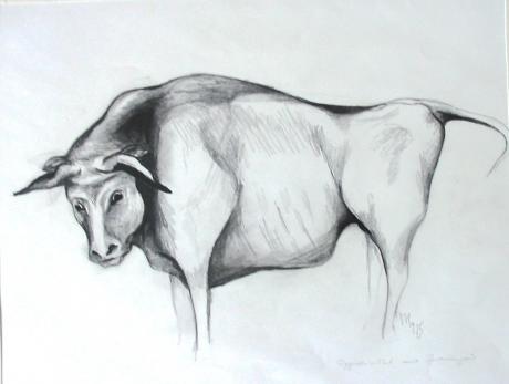 Stier -Aggressivität aus Bedrängnis - Michael Haack - Array auf - Array - Stier -Aggressivität aus Bedrängnis - Michael Haack - Array auf - Array -