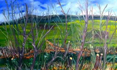 Nidda-Auen 4 - wolfgang mayer - Array auf - Array - Nidda-Auen 4 - wolfgang mayer - Array auf - Array -