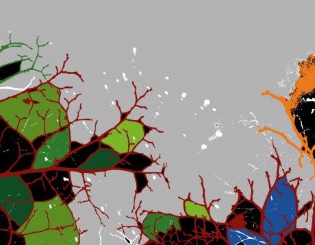 color game 3 - Jasmin-Jasko Trnjanin - auf - - color game 3 - Jasmin-Jasko Trnjanin - auf - -